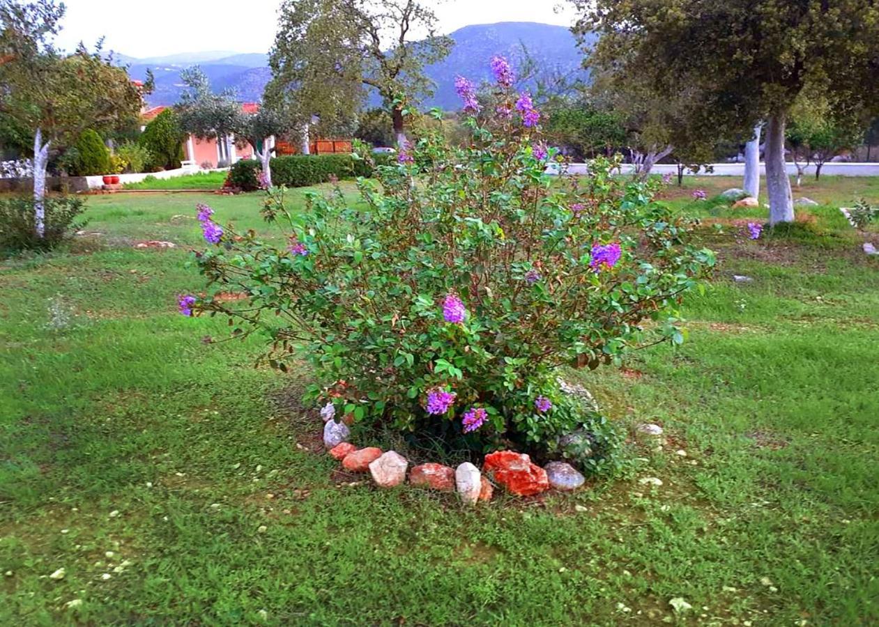 Villa Aelia - A Peaceful And Private Place Argostoli  Buitenkant foto